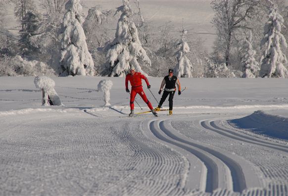 Langlaufen_Wildkogel-Arena