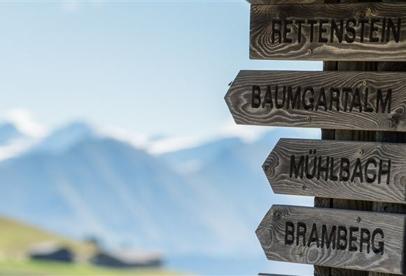 Neukirchen: 3G, 3D, 4F, 4D, 4B, 4A, Neukirchen - Wildkogel - Baumgartenalm