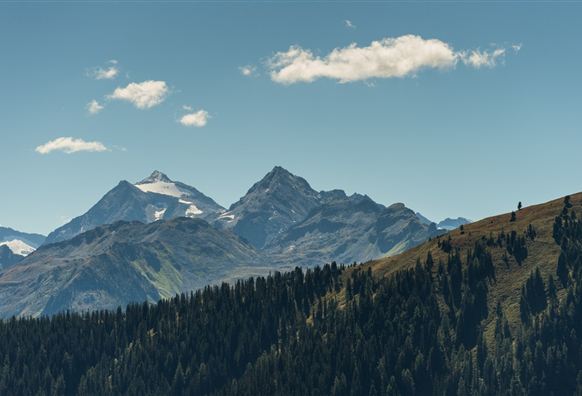 Neukirchen: 3G, 3D, 4F, 4D, 4B, 4A, Neukirchen - Wildkogel - Baumgartenalm