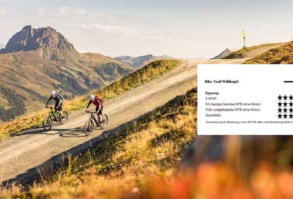 Neukirchen: 3G, 3D, 4K, 4B, 4A, Bike-Trail Wildkogel