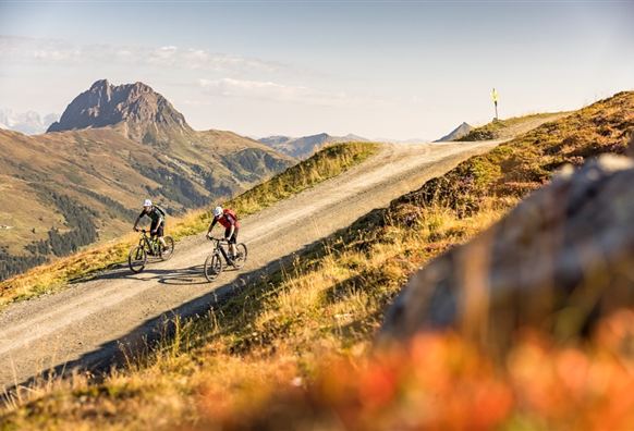 Neukirchen: 3G, 3D, 4K, 4B, 4A, Bike-Trail Wildkogel