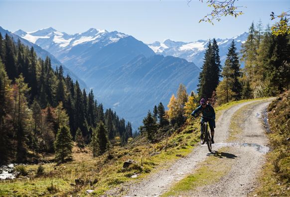 Neukirchen: 3G Neukirchen - Wildkogel - Steineralm