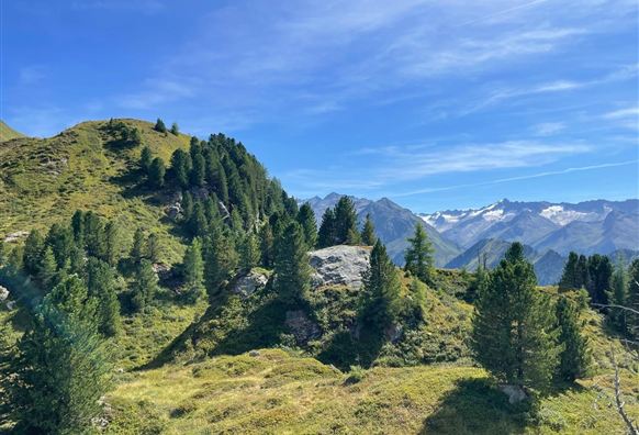 Neukirchen: Ascham - Wildalm