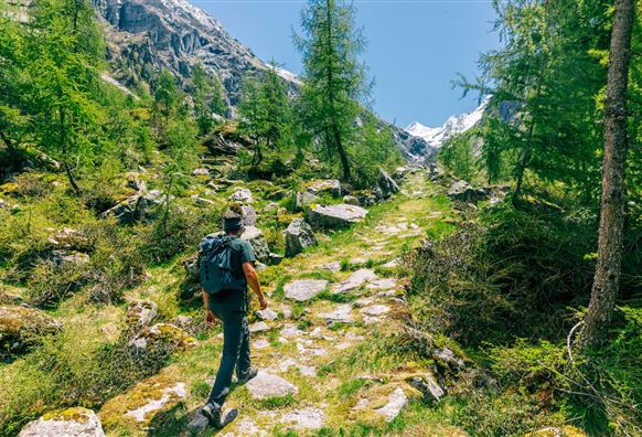 Neukirchen: Einödbrücke - Stockeralm - Aschamalm