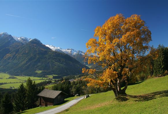 Neukirchen: Neukirchen-Abelhof-Ruine Hieburg-Neukirchen