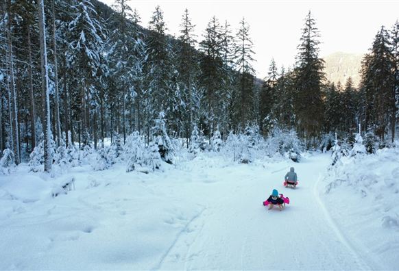 Neukirchen: Rodelbahn Blausee