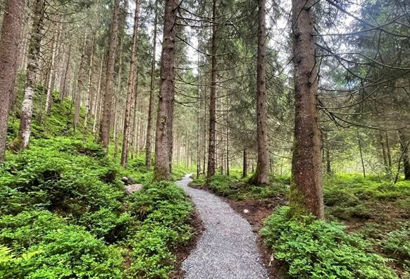 Neukirchen: Vom Obersulzbachtal ins Untersulzbachtal