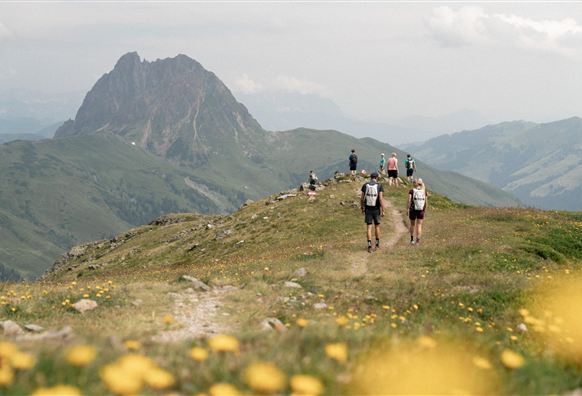 Neukirchen: Walsbergalm-Rundweg