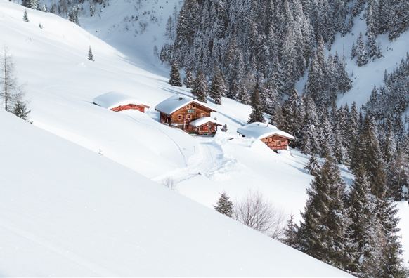Neukirchen: Winterliche Wanderung zur Steineralm