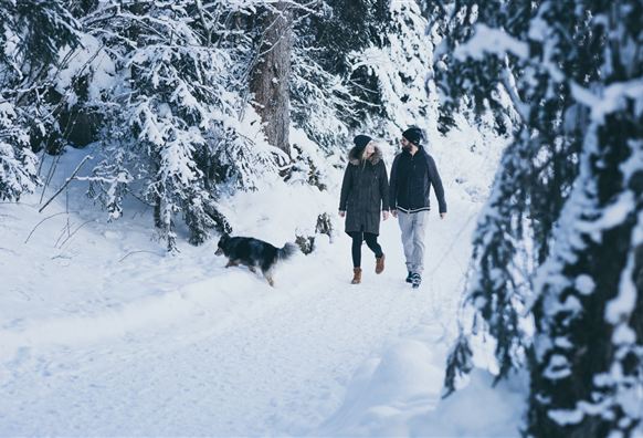 Rossberg-Rundweg