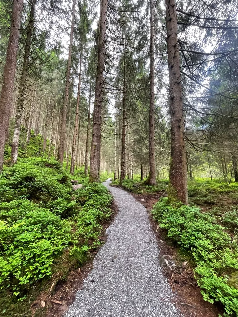 Neukirchen: Vom Obersulzbachtal ins Untersulzbachtal